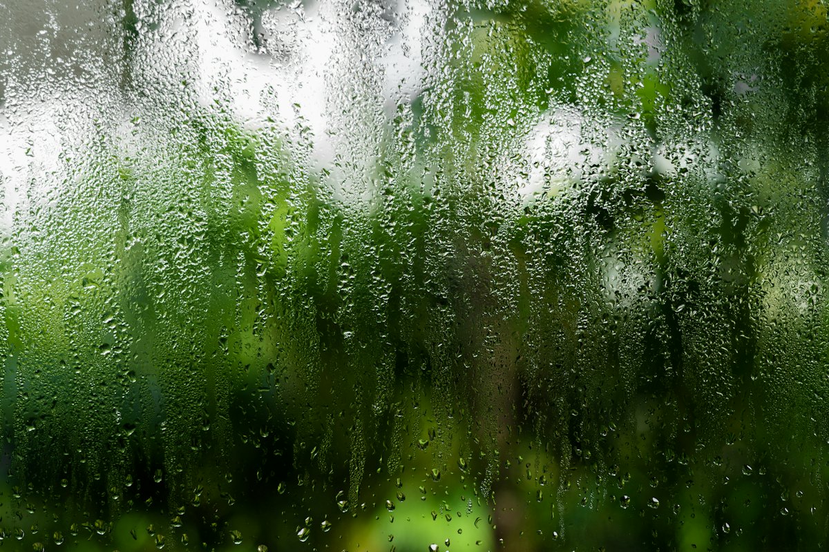 Pluie battante sur une vitre